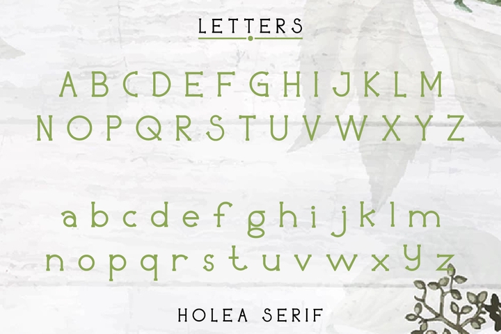 Пример шрифта Holea Script